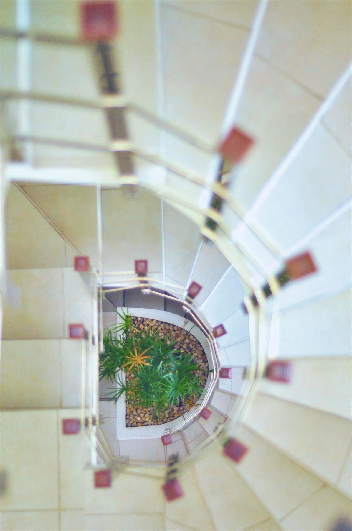 Condo 46 プレヤデルカーメン エクステリア 写真